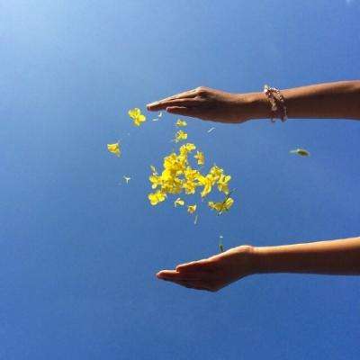 2023澳门管家婆资料正版大全手机app下载