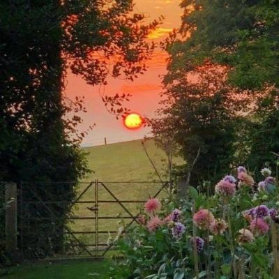 网赌游戏软件排行榜