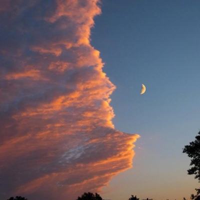 网赌游戏软件排行榜